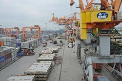 Năm 2019: Tiếp tục đà xuất siêu