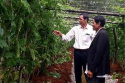 Kinh tế Nông nghiệp - Nông thôn Làm giàu từ đất, từ vườn