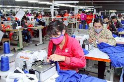 Hoàn thiện chức năng thanh tra chuyên ngành của Bảo hiểm xã hội Việt Nam