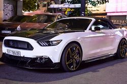 Dân chơi xe cơ bắp Ford Mustang 'tụ hội' ở Sài Gòn