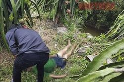 Câu điện lưới chích cá, một người bị điện giật tử vong