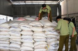 Gần 13.000 kg đường cát nhập lậu giấu trong vườn cao su