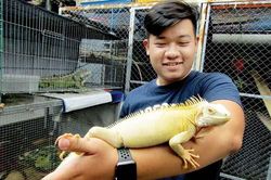 Nuôi rồng Nam Mỹ 7 màu làm thú cưng, bán con bé tí đã có 5 triệu
