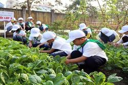 Nestlé hỗ trợ học sinh tiểu học ở Hưng Yên về dinh dưỡng học đường