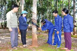 Nữ đội trưởng xuất sắc