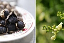 Cứu trái tim phải dùng tỏi đen, hoa hòe theo đúng cách sau
