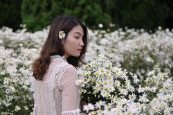 Trong trẻo mùa cúc họa mi
