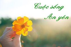 Phật dạy 3 triết lí sâu sắc giúp cuộc sống an yên
