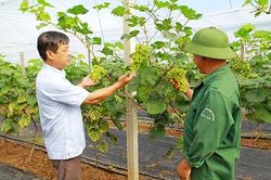 Người mang biệt danh 'Khánh nhím'