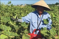 Chính trị - Xã hội Theo dòng thời sự Từ 'rốn lũ' Quảng Điền