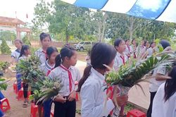 Học sinh miền núi Quảng Trị hái hoa rừng tặng thầy cô ngày 20/11