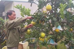 Trên 3.500 hộ dân Hoài Đức được vay vốn tạo việc làm