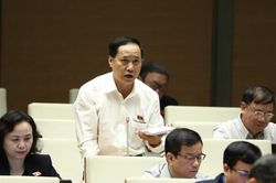 Đã có lãnh đạo bộ gây sức ép với đại biểu QH khi phát biểu trái với quan điểm của bộ, ngành