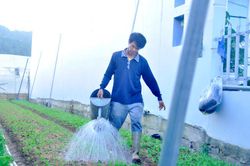 Làm thuê ở miệt Đơn Dương