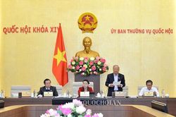 Biểu quyết thông qua Đề án sắp xếp các đơn vị hành chính 8 tỉnh