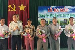 Phú Thiện (Gia Lai): Ra mắt mô hình 'Nông hội hoa lúa' xã Chrôh Pơ Nan