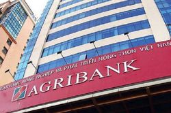 Cựu giám đốc của Agribank bị truy tố