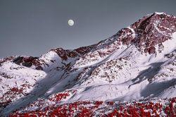 Bất ngờ trước diện mạo mới của dãy núi Alps, Thụy Sỹ