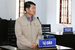 Lập mưu chiếm đất rừng, nguyên Phó chủ tịch huyện ở Đắk Nông lĩnh án