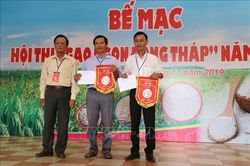 Gạo ST 24 đạt giải nhất Hội thi 'Gạo ngon Đồng Tháp' năm 2019