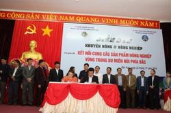 Big C ký kết với 9 đối tác, tạo sinh kế cho 200 hộ nông dân