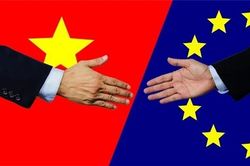 Không quá kỳ vọng đến tác động của CPTPP và EVFTA