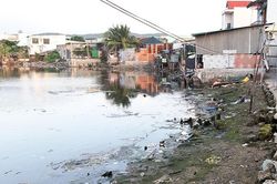 Hồ nước giữa khu dân cư gây ô nhiễm