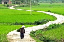 Thương nhớ một miền quê…