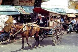 Đời thường Sài Gòn 1965 'chất lừ' qua ống kính lính Mỹ