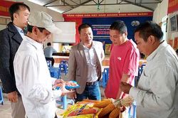 Trung tâm Khuyến nông tỉnh: Hội thảo đầu bờ mô hình thâm canh giống ngô lai đơn MK399 trên đất dốc có che phủ tại xã Mường Cơi