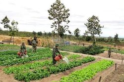 'Chất keo' giúp bộ đội thêm yêu mến đơn vị