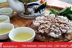 Về Hà Tĩnh, 'say' trong bát nước chè xanh nghĩa tình