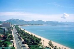 Nha Trang: Nhiều xã, phường bầu cử trưởng thôn, tổ trưởng tổ dân phố