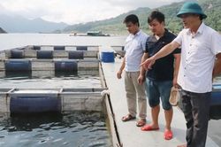 Đà Bắc (Hòa Bình): Điểm nhấn xây dựng nông thôn mới