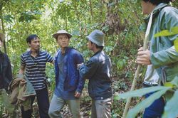 'Rừng thiêng' và sự trở lại mạnh mẽ của TFS