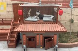 Sen xây nhà 2 tầng cho boss: Bể bơi, spa, điều hòa đủ cả