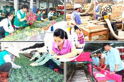 20 năm nhìn lại Luật Doanh nghiệp: Sửa luật trên tư duy kinh tế thị trường