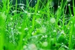 Mỗi khi gặp khó khăn, bạn đừng quên rằng chúng giống như những viên đá mài