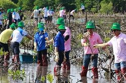 C.P. Việt Nam tham gia trồng đước để bảo vệ môi trường