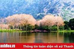 Kim Sơn non nước hữu tình