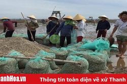 Hiệu quả từ phong trào phụ nữ giúp nhau làm kinh tế