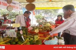 Xu thế phát triển kinh tế tập thể