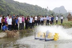 'Dân vận khéo' góp phần thúc đẩy phát triển nông nghiệp