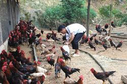 Xuân Viên nâng cao hiệu quả công tác dân vận để giúp giảm nghèo