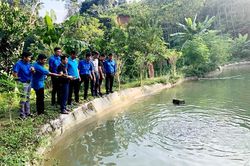 Sức trẻ Tài Ngào