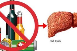 Phát triển thuốc điều trị xơ gan do rượu