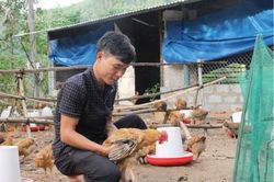 Kinh tế Nông nghiệp - Nông thôn 9X mê nông nghiệp