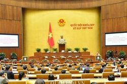Tích hợp chính sách, phát triển bền vững vùng đồng bào dân tộc thiểu số, miền núi
