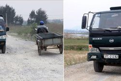 Mặt đê ngăn mặn ở TX. Hoàng Mai bị tàn phá