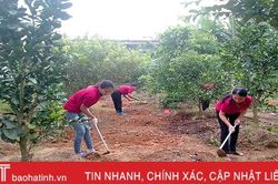 Khi các cô giáo ở huyện miền núi Hà Tĩnh làm... nông dân